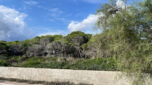 Sa Pedruscada - Oceanfront Living